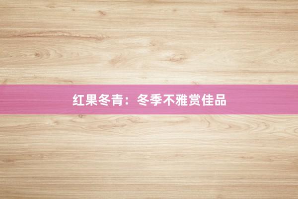 红果冬青：冬季不雅赏佳品