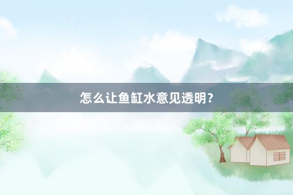 怎么让鱼缸水意见透明？